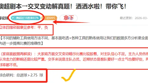 “同城巅峰争霸 意甲米兰双雄尽显魅力”